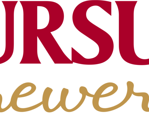 Logo UB_versiune principala