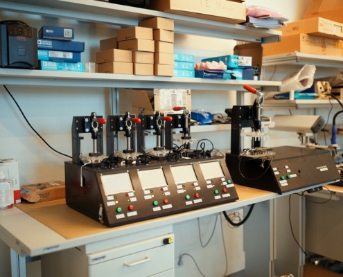 All Rights Reserved © Alexandru Maxim 2022